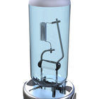 9006/HB4 Halogen Light Bulbs - 3700K