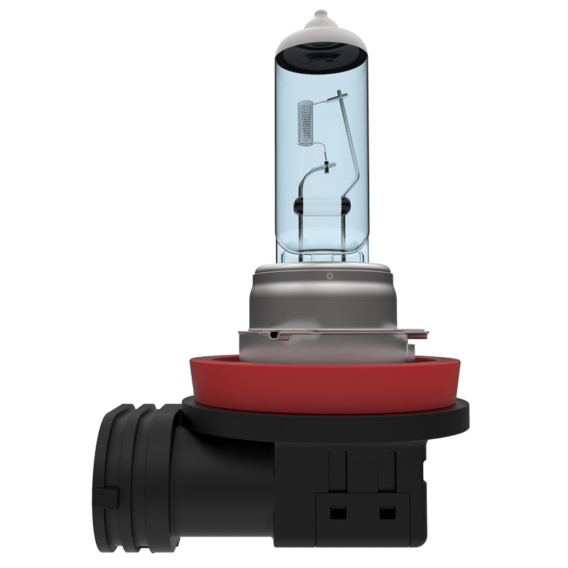 H11 Halogen Light Bulbs - 3700K