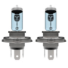 H4/9003 Halogen Light Bulbs - 3700K
