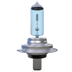 H7 Halogen Light Bulbs - 3700K