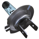 H7 Halogen Light Bulbs - 3700K