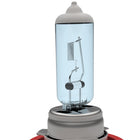 H8 Halogen Light Bulbs - 3700K