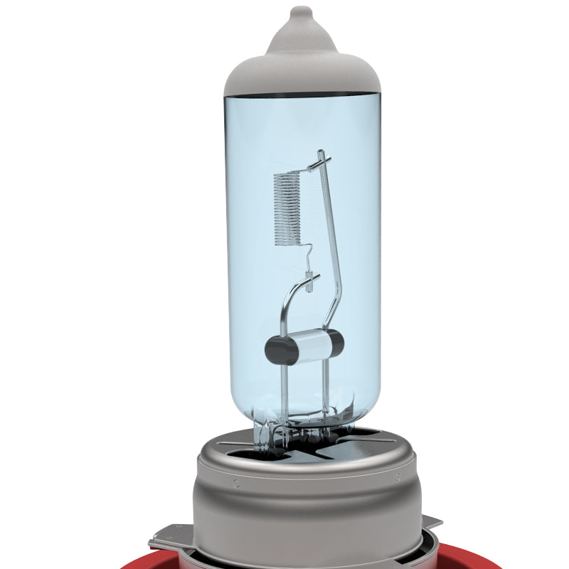 H8 Halogen Light Bulbs - 3700K