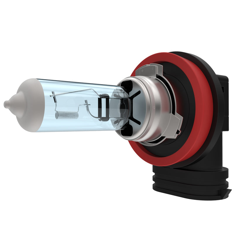 H8 Halogen Light Bulbs - 3700K